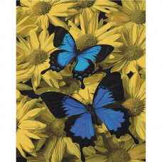 SY6460 Пара метеликів, на кольоровому фоні 40х50 см. Strateg. Картина за номерами (Стратег)