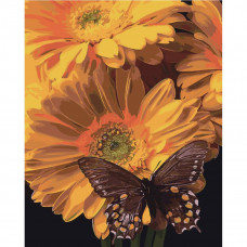 SY6472 Метелик на соняшнику, на кольоровому фоні 40х50 см. Strateg. Картина за номерами (Стратег)