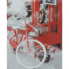 SY6857 Велосипед з квітами, 40x50 см. Strateg. Картина за номерами (Стратег)