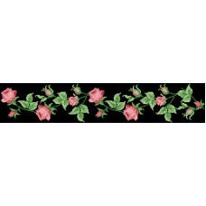 СЖ017шЧнннн Барвиста вишиванка Заготовка для вишивки - Спідниця жіноча Тендітні троянди р.42-54 шовк, чорний