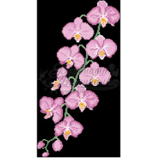 СЖ087шЧнннн Барвиста вишиванка Заготовка для вишивки - Спідниця жіноча Ніжні орхідеї р.42-54 шовк, чорний