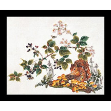 T1071A Thea Gouverneur Набір для вишивки  рахунковим хрестиком - Білка Squirrel , 48x60 см, Aida 16