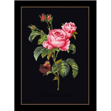 T2030.05 Thea Gouverneur Набір для вишивки рахунковим хрестиком - Троянда Редуте Rose Redoute 26x38 см, Aida 18 (чорна)