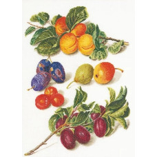 T3062 Thea Gouverneur Набір для вишивки рахунковим хрестиком - Персики та сливи 33х45 см, Льон 36 ct