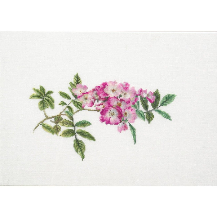 T415 Thea Gouverneur Набір для вишивки рахунковим хрестиком - Моцарт 35х24 см, Льон 36 ct