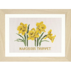 T584 Thea Gouverneur Набір для вишивки рахунковим хрестиком - Нарциси Daffodils, 16x18 см, рівномірка 32 ct