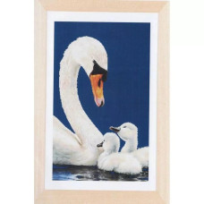 T607A Thea Gouverneur Набір для вишивки  рахунковим хрестиком - Лебеді Swans and Signets, 55x35 см, Aida 16