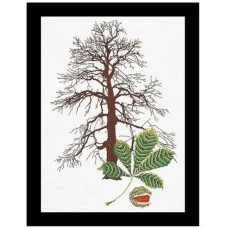 T830 Thea Gouverneur Набір для вишивки рахунковим хрестиком - Каштан Chestnut90x57 см, Aida 18