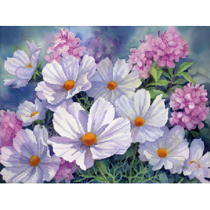 ТА-389 Космея і флокс. Тела Артіс. Схема для вишивання бісером