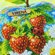 ТБ_КВ_3021 Virena Набір для вишивки бісером - Полуниця в скляному яблуці 29,5x29,5см (габардин)
