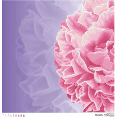 ТК075пн5858 Розкішна рожева півонія на габардині. Барвиста вишиванка. Схема на тканині для вишивання бісером