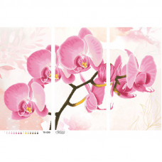 ТК099пн8658k Ніжна рожева орхідея (триптих), на габардині. Барвиста вишиванка. Набір для вишивки бісером