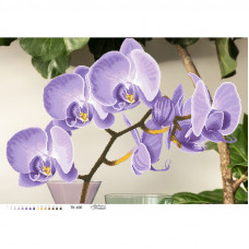 ТК100пн8658k Стильна фіолетова орхідея, на габардині. Барвиста вишиванка. Набір для вишивки бісером