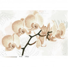 ТК102ан8658 Тендітна бежева орхідея на атласі. Барвиста вишиванка. Схема для вишивки бісером