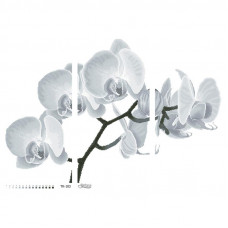 ТК103пн8658 Монохромна сіра орхідея (триптих) на габардині. Барвиста вишиванка. Схема для вишивки бісером