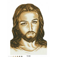ТО008ан4560k Ісус коричневий, на атласі. Барвиста вишиванка. Набір для вишивки бісером