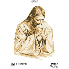 ТО157пн4560 Барвиста вишиванка Заготовка для вишивання бісером - Ісус в молитві (сепія), 45х60см (схема на габардині)