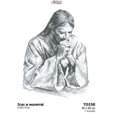 ТО158пн4560 Барвиста вишиванка Заготовка для вишивання бісером - Ісус в молитві (сепія), 45х60см (схема на габардині)