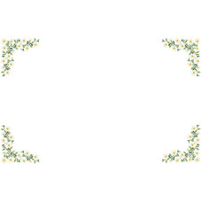 ТР779аБ9999k Барвиста вишиванка Набір для вишивки бісером - Скатертина Весняні Ромашки 220х150 (атлас, білий)