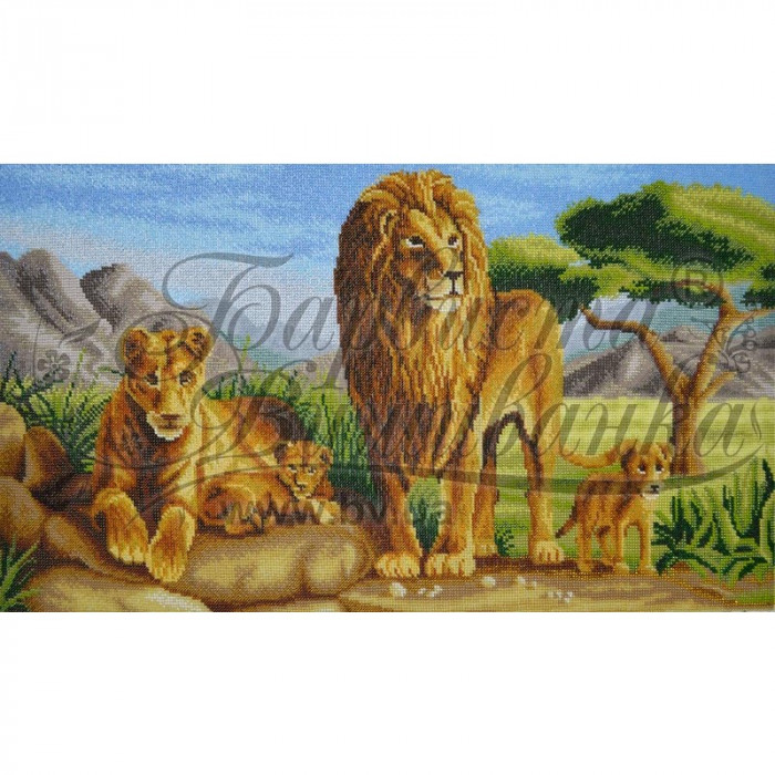 ТТ013ан6335 Сімейство львів 63х35. Барвиста вишиванка. Схема на тканині для вишивання бісером