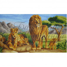 ТТ013ан6335k Сімейство левів, на атласі. Барвиста вишиванка. Набір для вишивки бісером