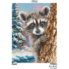 ТТ031пн3040k Барвиста вишиванка Набір для вишивки бісером - Єнот 30х40 см (габардин)