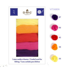 U2367_Vitamin DMC Комплект вовни для валяння - Вітаміни 25 гр (100% вовна, 5 кольорів)