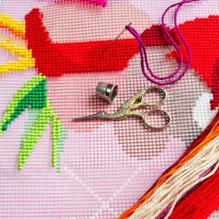 V547 Чарівниця Набір для вишивки гобеленом - Подушка Свобода 40x40 см, страмін (схема на канві)