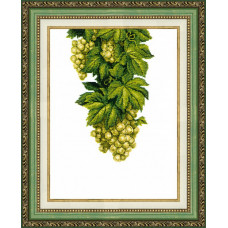 ВТ-137 Бурштиновий виноград. 20,6х27,5 см. Crystal Art. Набір для вишивки хрестиком на Aida 16