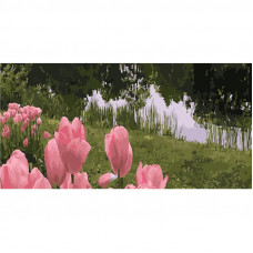 WW042 Тюльпани на березі річки, 50x25 см. Strateg. Картина за номерами (Стратег)