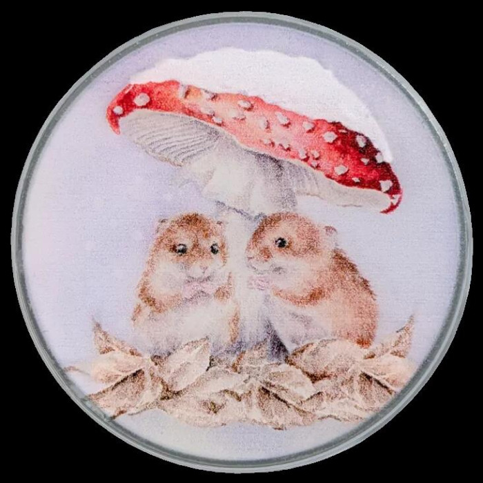 XA67 Bothy Threads - Магнітний тримач для голок Mushroom At The Inn