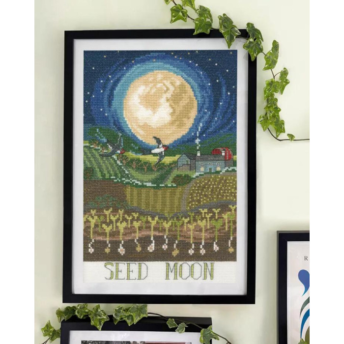 XDD13 Bothy Threads Набір для вишивки хрестиком - Повний місяць Seed Moon 18х27 см, Aida 14