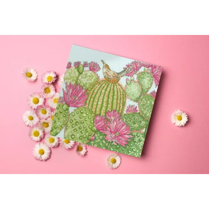 XFY10 Bothy Threads Набір для вишивки хрестиком - Сад кактусів Cactus Garden 26x26 см, Aida 14