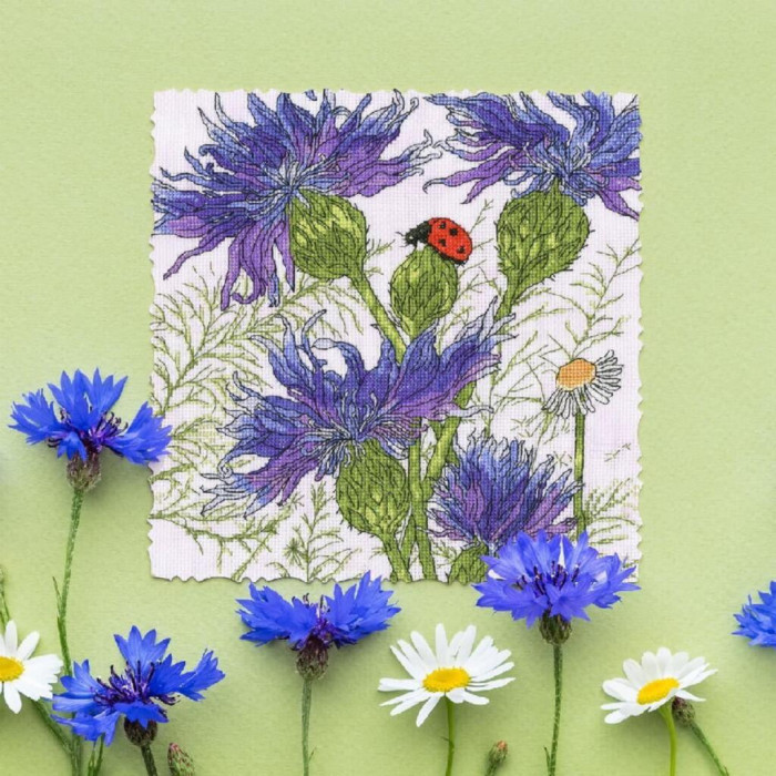 XFY8 Bothy Threads Набір для вишивки хрестиком - Васильковий сад Cornflower Garden 26x26 см, Aida 14