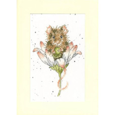 XGC32 Bothy Threads Набір для вишивки хрестиком - Побажання тільки для тебе Wishes Just For You 10x16 см, Evenweave №32