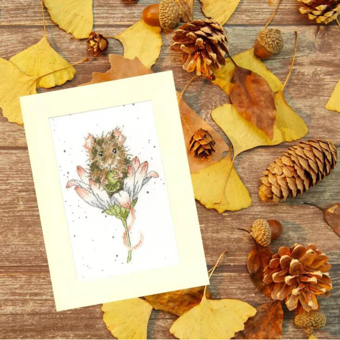 XGC32 Bothy Threads Набір для вишивки хрестиком - Побажання тільки для тебе Wishes Just For You 10x16 см, Evenweave №32