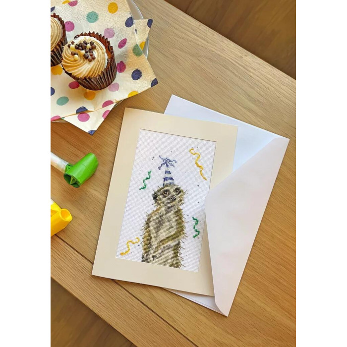 XGC54 Bothy Threads Набір для вишивки хрестиком - У пошуках вечірки On The Lookout For A Party 10x16 см, Evenweave №32