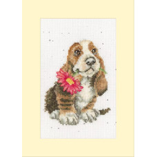 XGC56 Bothy Threads Набір для вишивки хрестиком - Спеціально для тебе Especially For You 10x16 см, Evenweave №32