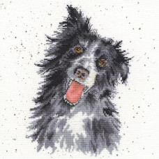 XHD10E Bothy Threads Набір для вишивки хрестиком - Коллі Collie 26х26 см, Evenweave №28