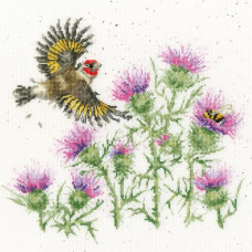 XHD133E Bothy Threads Набір для вишивки хрестиком - Пір'я та будяки Feathers And Thistles 26x26 см, Evenweave №32