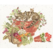 XHD149E Bothy Threads Набір для вишивки хрестиком - Пуррфектна плямка Purrrfect Spot 28x34 см, Evenweave №32