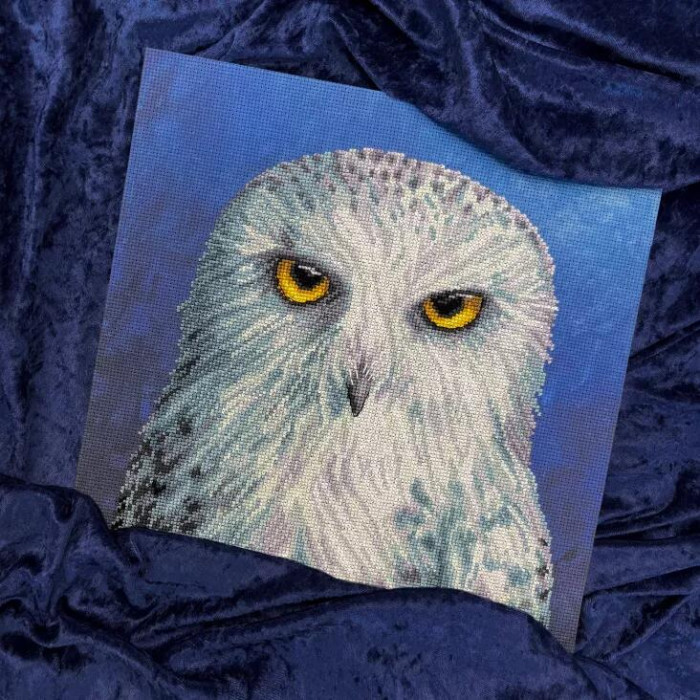 XRF12 Bothy Threads Набір для вишивки хрестиком - Мудрість Wisdom 26x26 см, Aida 14