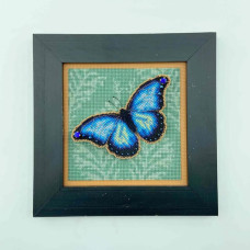 YuMI_052 Voloshka Набір для вишивки хрестом та бісером по пластику YuMI - Синій Метелик 12,7x12,7 см, Aida 14 ct
