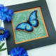 YuMI_052 Voloshka Набір для вишивки хрестом та бісером по пластику YuMI - Синій Метелик 12,7x12,7 см, Aida 14 ct