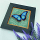 YuMI_052 Voloshka Набір для вишивки хрестом та бісером по пластику YuMI - Синій Метелик 12,7x12,7 см, Aida 14 ct