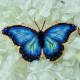 YuMI_052W Voloshka Набір для вишивки хрестом та бісером по дереву YuMI - Фігурка Синій Метелик 12,7х7,3 см