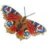 3D натуральні метелики