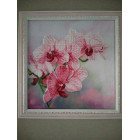 ТА-234 Гармонія ліній. Тела Артіс. Схема для вишивання бісером