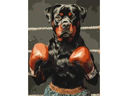 KHO6647 Рингова сила © art_selena_ua, 30х40 см. Ideyka. Картина за номерами (Ідейка КНО-6647)