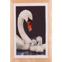 T606.05 Thea Gouverneur Набір для вишивки  рахунковим хрестиком - Лебеді Swans and Signets, 55x35 см, Aida 16 (чорна)